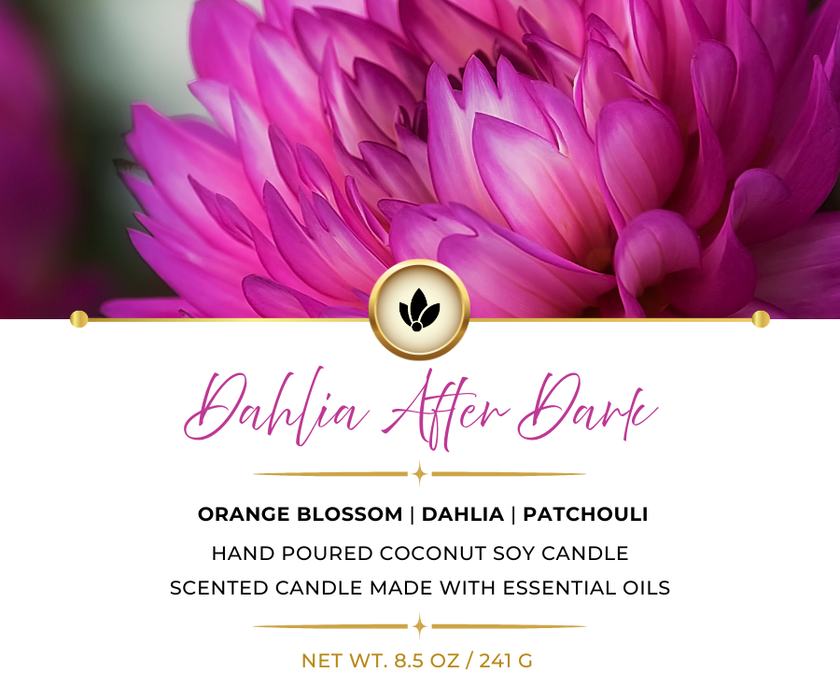 DAHLIA AFTER DARK