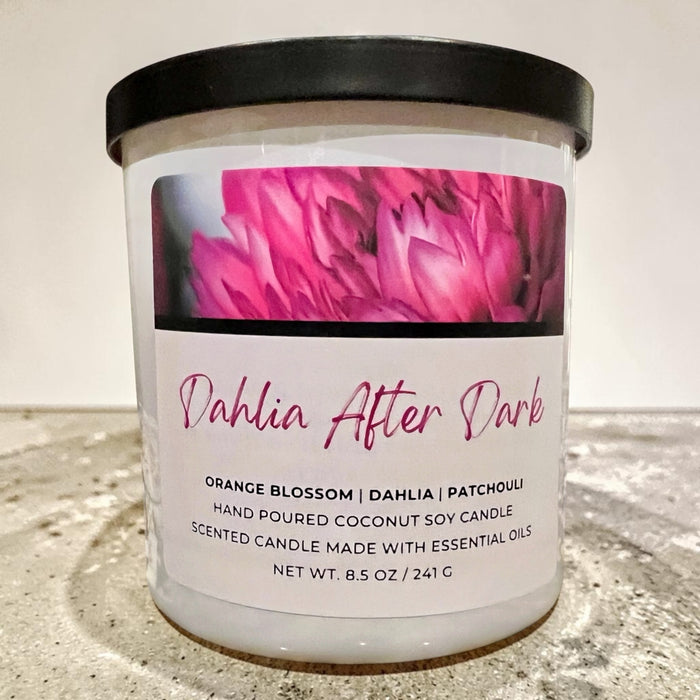 DAHLIA AFTER DARK