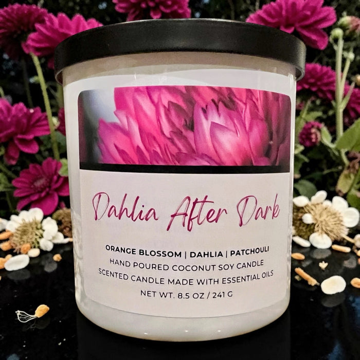 DAHLIA AFTER DARK